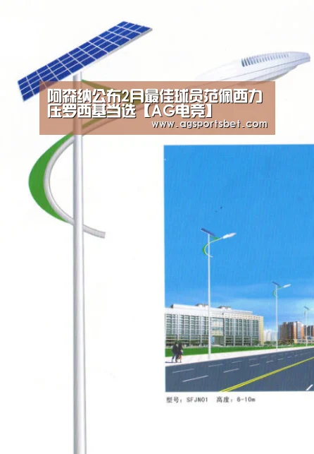 阿森纳公布2月最佳球员范佩西力压罗西基当选【AG电竞】(图1) AG真人