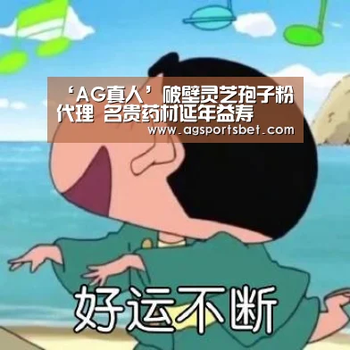 ‘AG真人’破壁灵芝孢子粉代理 名贵药材延年益寿(图2) AG直达